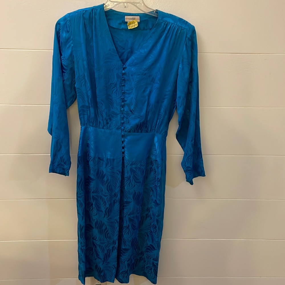 Cadiz Silk Dress, size 12